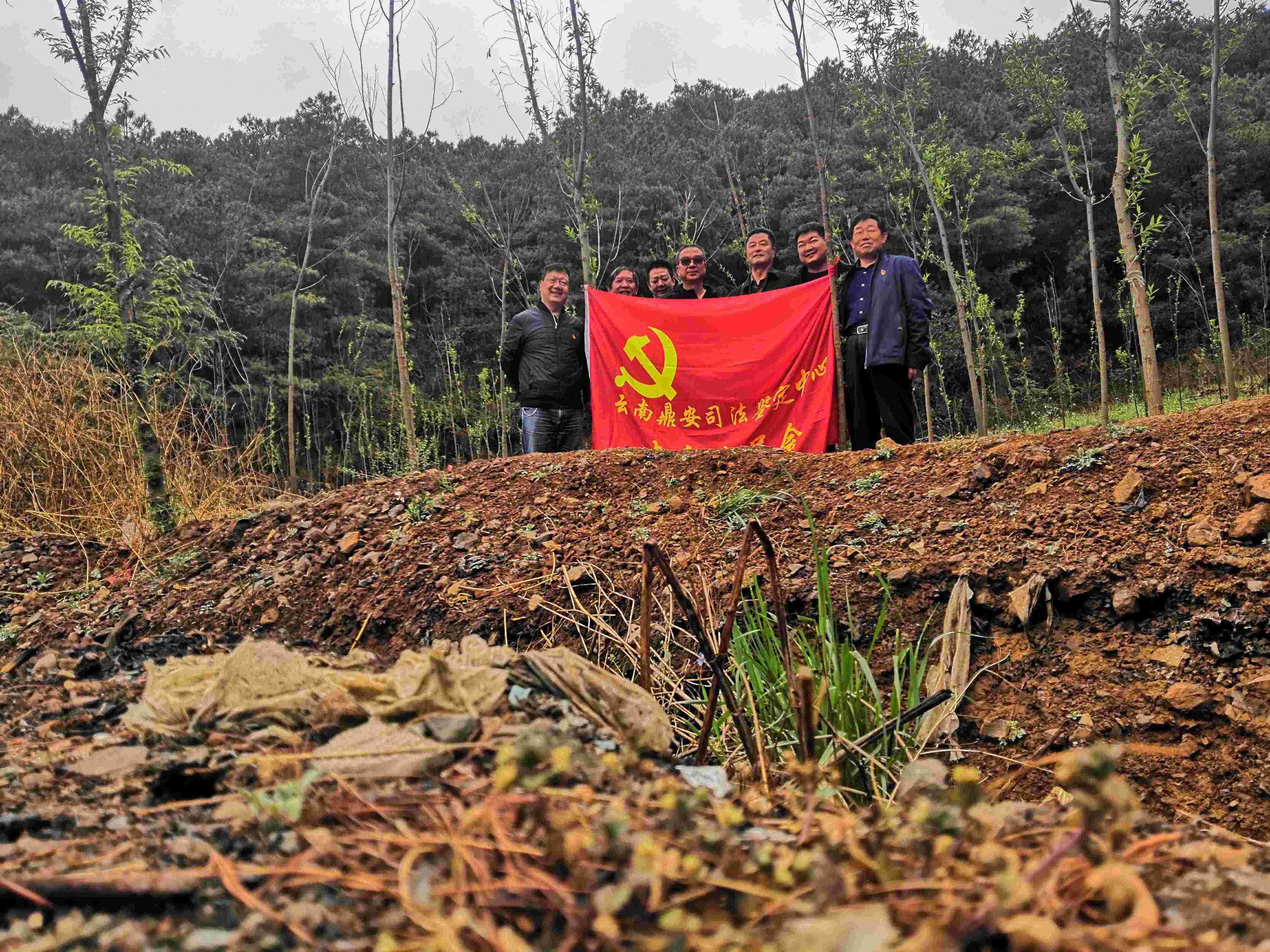 2020年4月植樹(shù)造林黨員先行造林點(diǎn)維護(hù).jpg