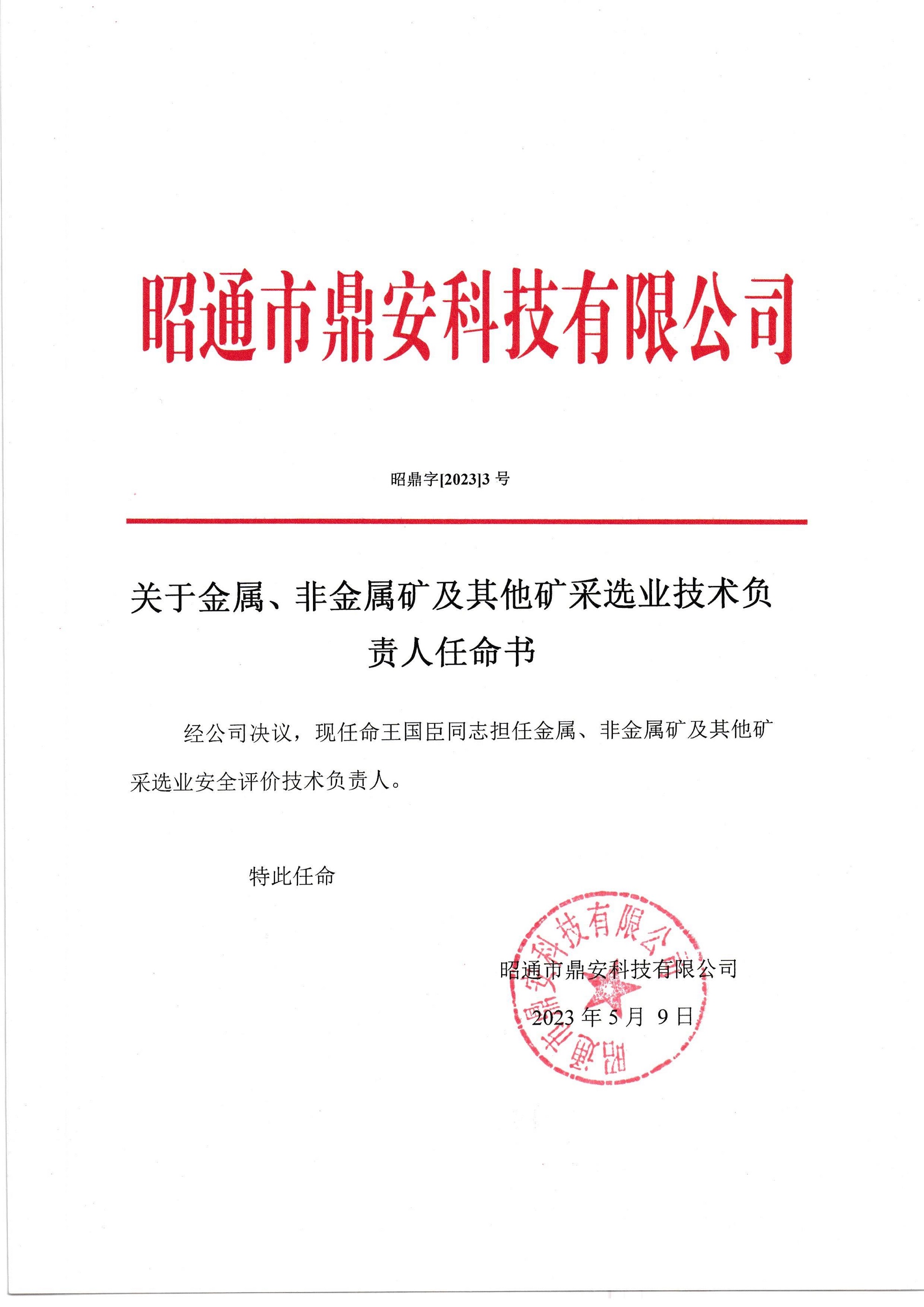 關(guān)于金屬、非金屬礦及其他礦采選業(yè)技術(shù)負責(zé)人任命書-王國臣_2.jpg